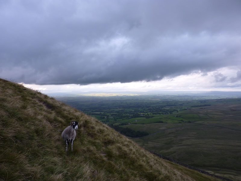 Pendle Hill